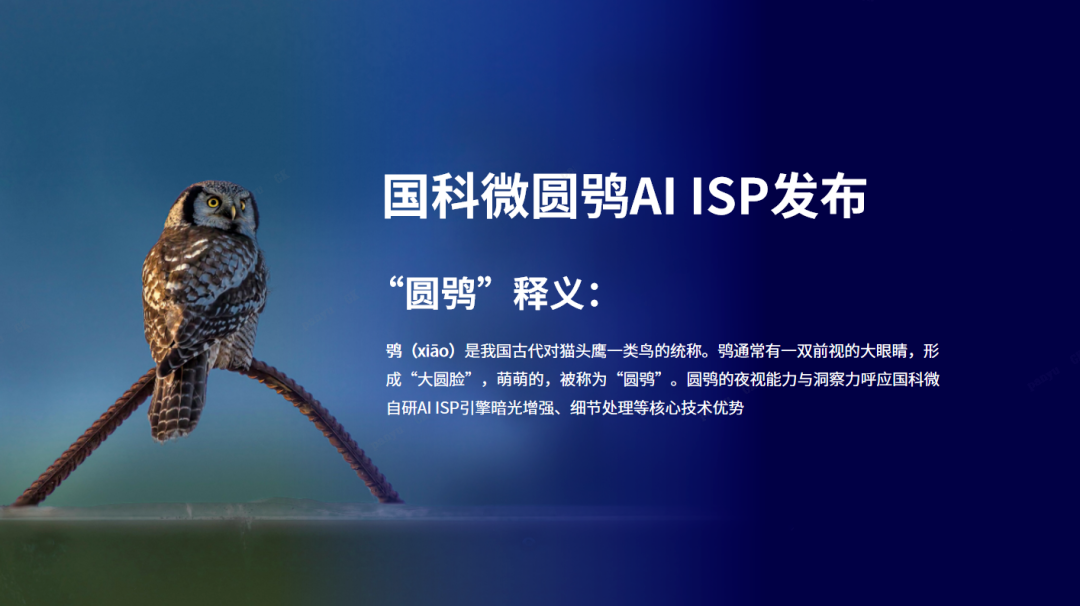 国科微：“圆鸮”展翅！如何用中国芯赋能千行百业？