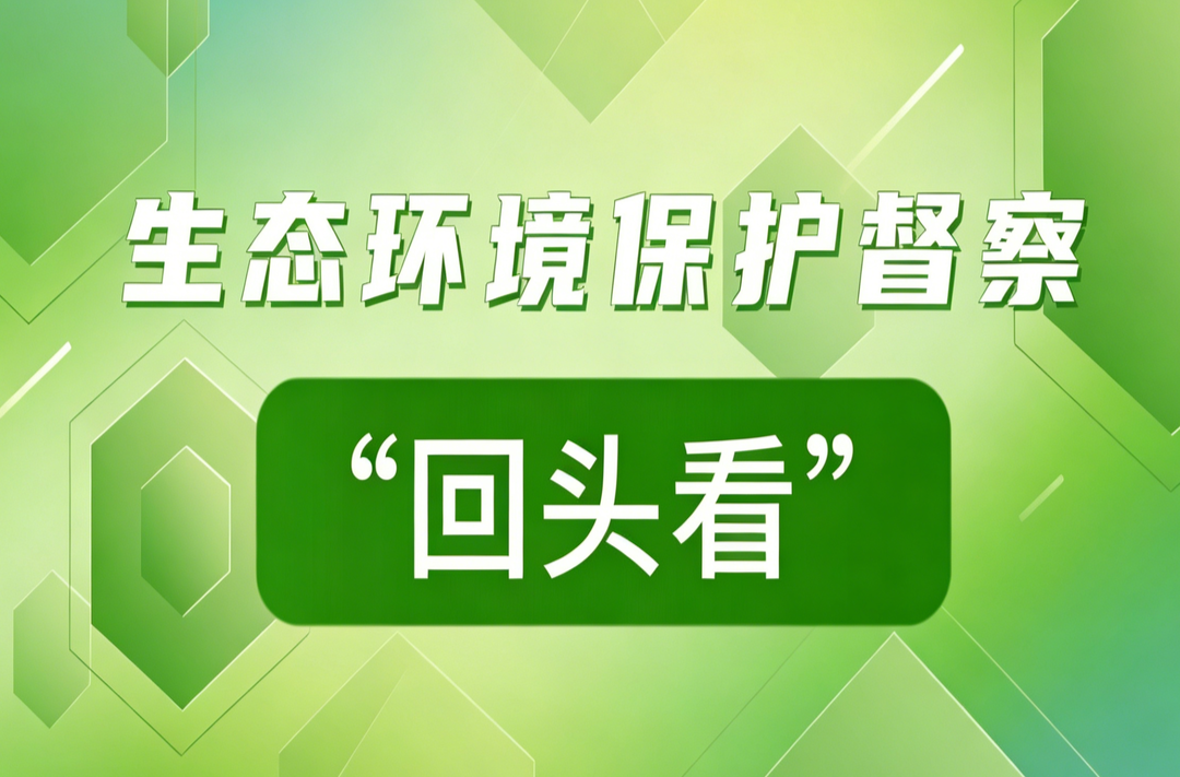 生态环境保护督察“回头看”