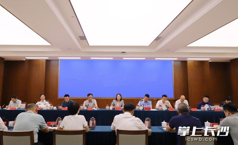 长沙市召开配合第二轮省生态环境保护督察“回头看”推进会议